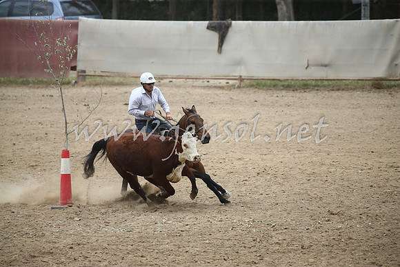 Tumut2_0835