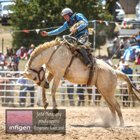 BungendoreRodeo2018-4165