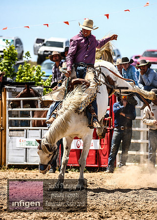 BungendoreRodeo2018-4321