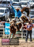 BungendoreRodeo2018-5065