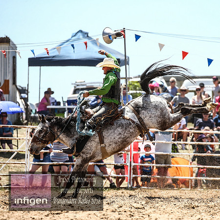 BungendoreRodeo2018-4265