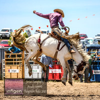 BungendoreRodeo2018-4335