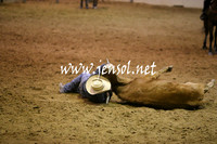 RDAug2013_0492