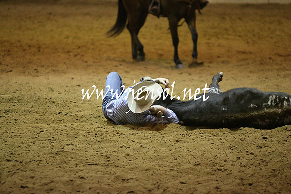 RDAug2013_0835
