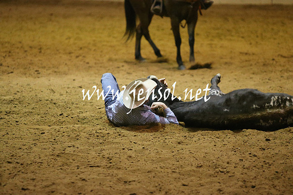 RDAug2013_0836