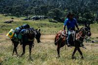 Mountains 042