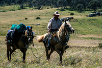 Mountains 043
