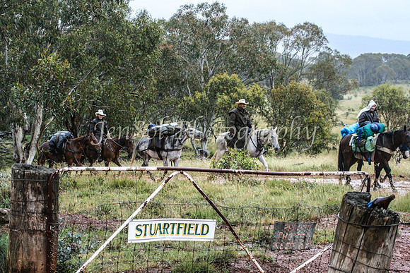 Stewartfield400D 038
