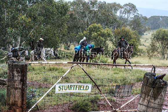 Stewartfield400D 037