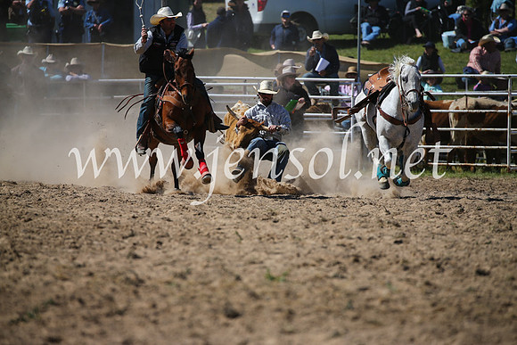 BungendoreRodeo2016-3623