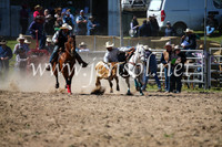 BungendoreRodeo2016-3602