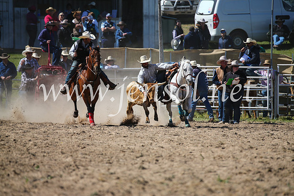 BungendoreRodeo2016-3602