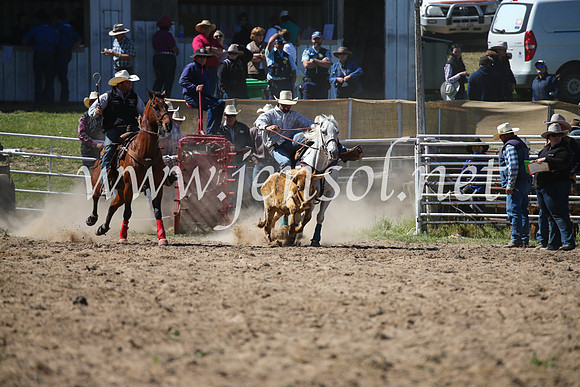 BungendoreRodeo2016-3612
