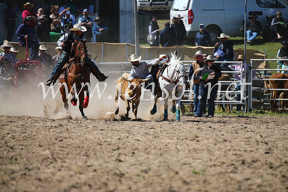 BungendoreRodeo2016-3613