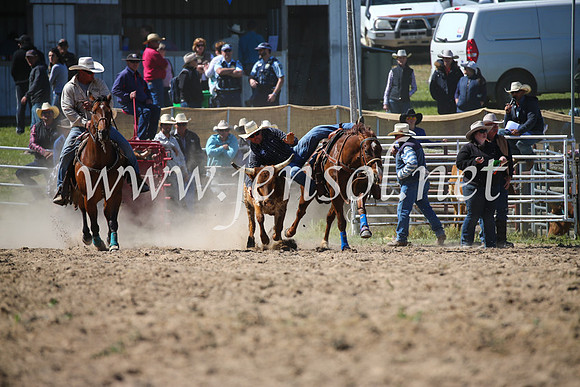 BungendoreRodeo2016-3654