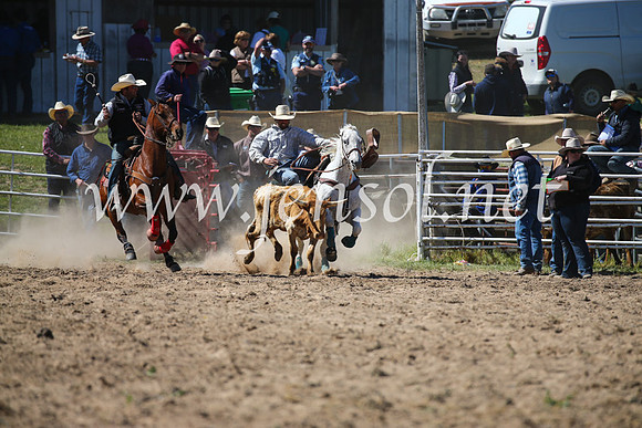 BungendoreRodeo2016-3608