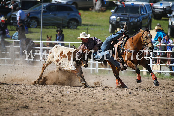BungendoreRodeo2016-3648