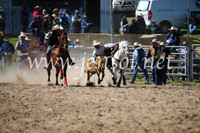BungendoreRodeo2016-3610