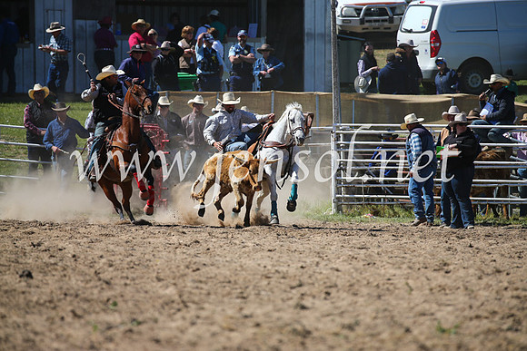 BungendoreRodeo2016-3604