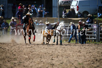 BungendoreRodeo2016-3611