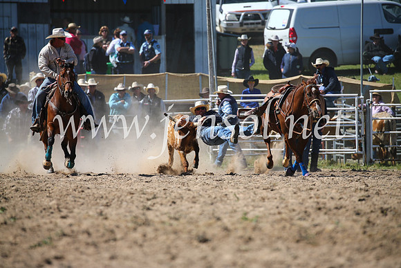 BungendoreRodeo2016-3662