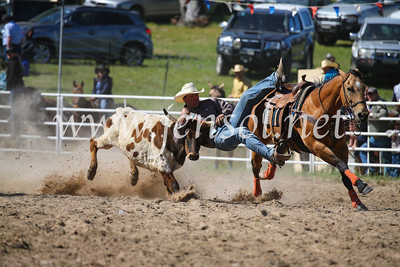 BungendoreRodeo2016-3649