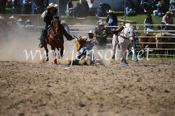BungendoreRodeo2016-3622