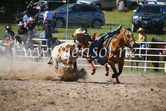 BungendoreRodeo2016-3645