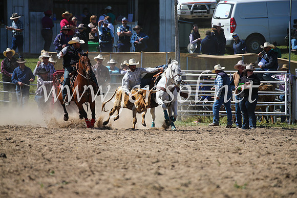 BungendoreRodeo2016-3606