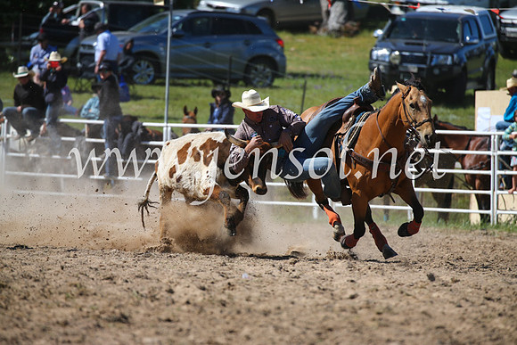 BungendoreRodeo2016-3647