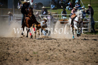 BungendoreRodeo2016-3627
