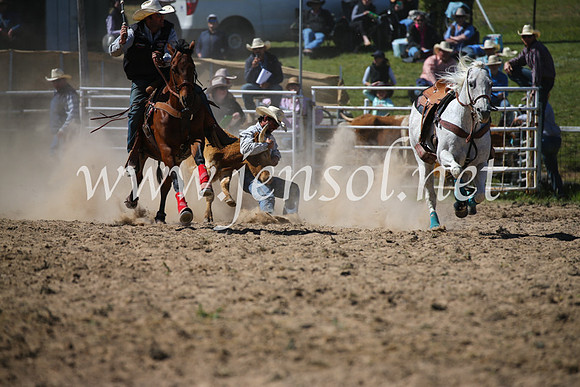 BungendoreRodeo2016-3627