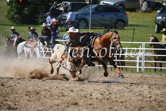BungendoreRodeo2016-3634