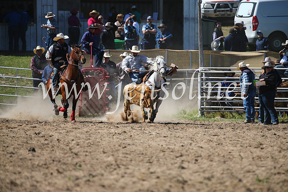 BungendoreRodeo2016-3603