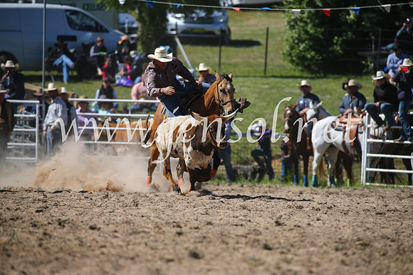 BungendoreRodeo2016-3629