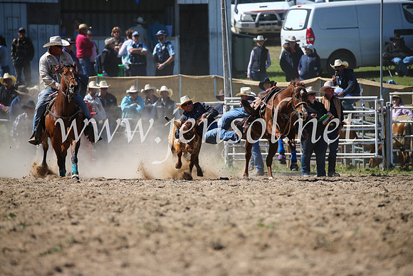 BungendoreRodeo2016-3659