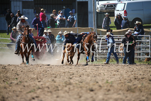 BungendoreRodeo2016-3653