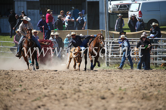BungendoreRodeo2016-3655