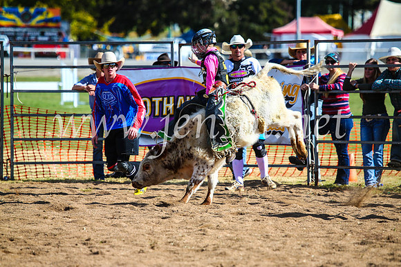BathurstShow2017Sun_4093