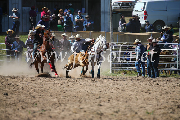 BungendoreRodeo2016-3605