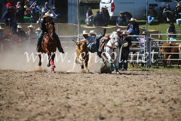 BungendoreRodeo2016-3617