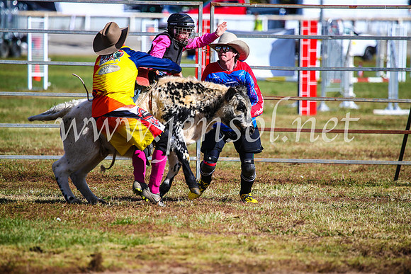 BathurstShow2017Sun_4194