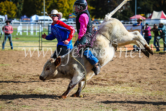 BathurstShow2017Sun_4266
