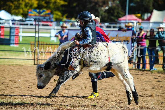 BathurstShow2017Sun_4130