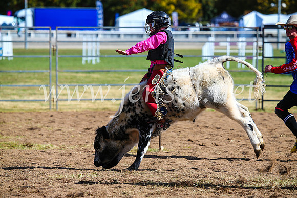 BathurstShow2017Sun_4175