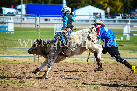 BathurstShow2017Sun_4209