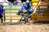 BathurstShow2017Sun_4054