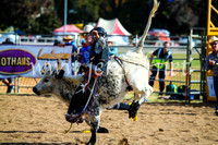 BathurstShow2017Sun_4129