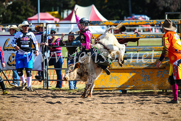 BathurstShow2017Sun_4095