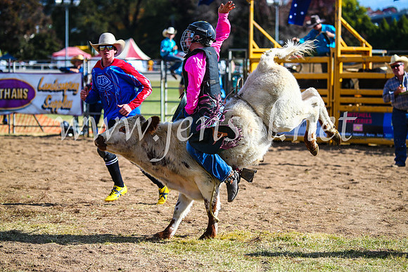 BathurstShow2017Sun_4252